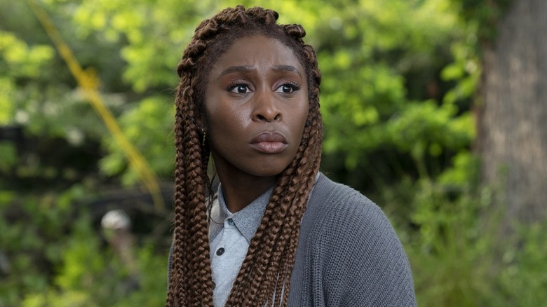 Holly stands amidst trees in 