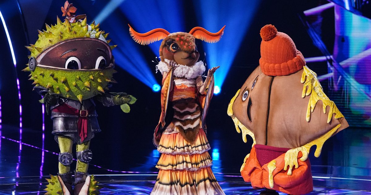 Who won The Masked Singer 2026? Moth unveiled as singer-songwriter
