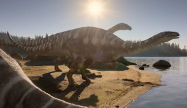 Trailer: Spielberg's "The Dinosaurs" Docuseries