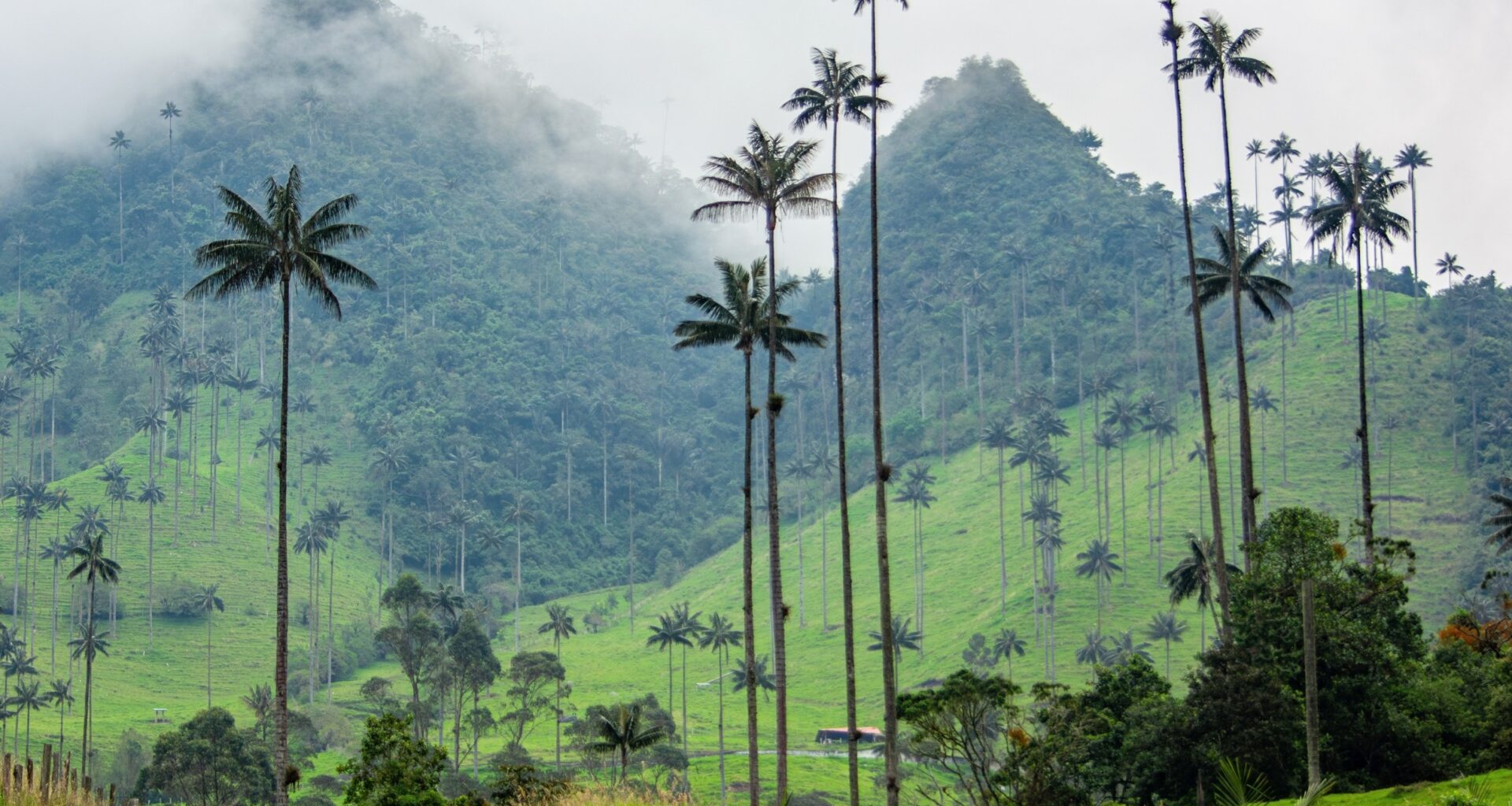 Ancient sediments hint the tropics may heat up faster