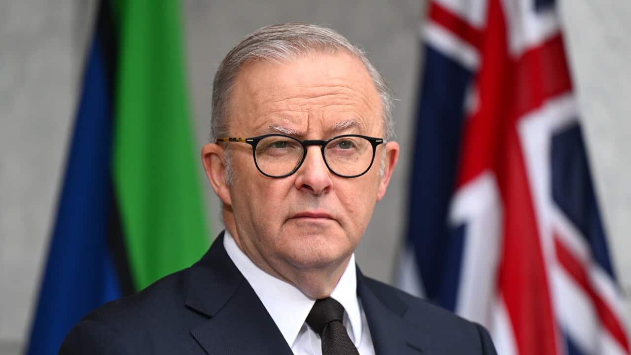 A medium shot of Anthony Albanese wearing a dark suit and glasses while standing in front of the Australian and Torres Strait Islander flags.