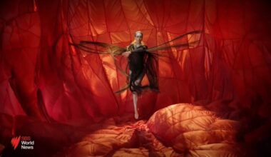 Australian group stranded in Syria release photo of youngest girl held in detention