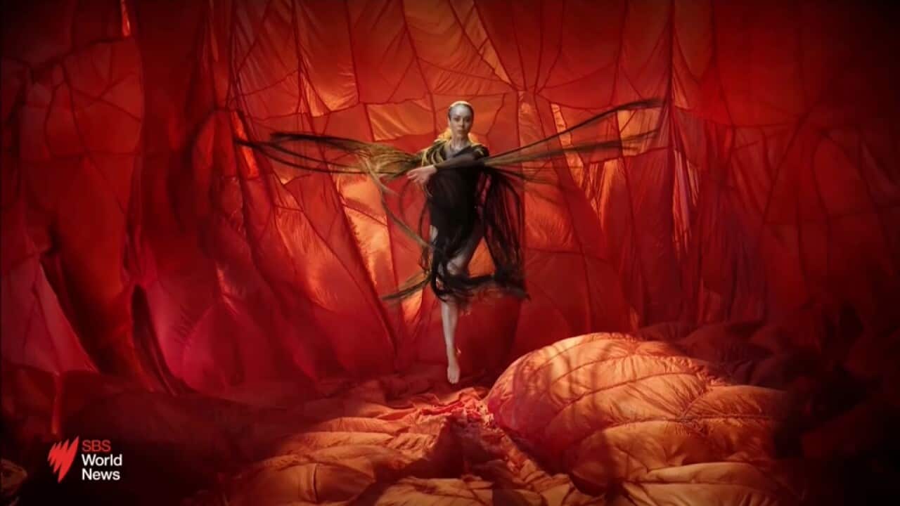 Australian group stranded in Syria release photo of youngest girl held in detention