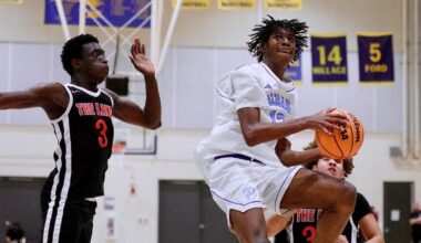 Popoola twins lead Palisades to City Open Division basketball title