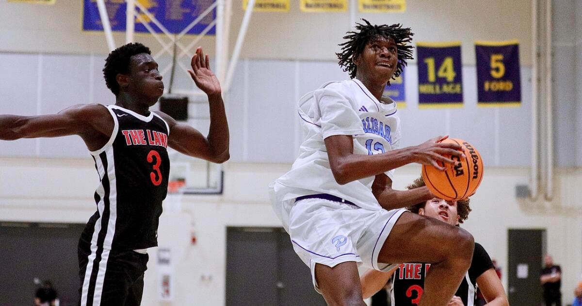 Popoola twins lead Palisades to City Open Division basketball title