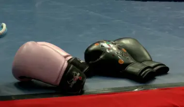 Boxing academy saving youth one punch at a time