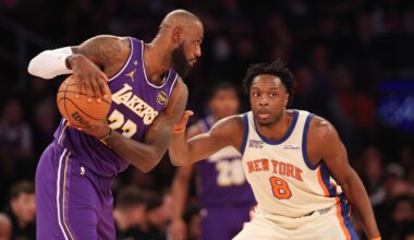 OG Anunoby, Landry Shamet and Knicks' role players lead team to win over Lakers