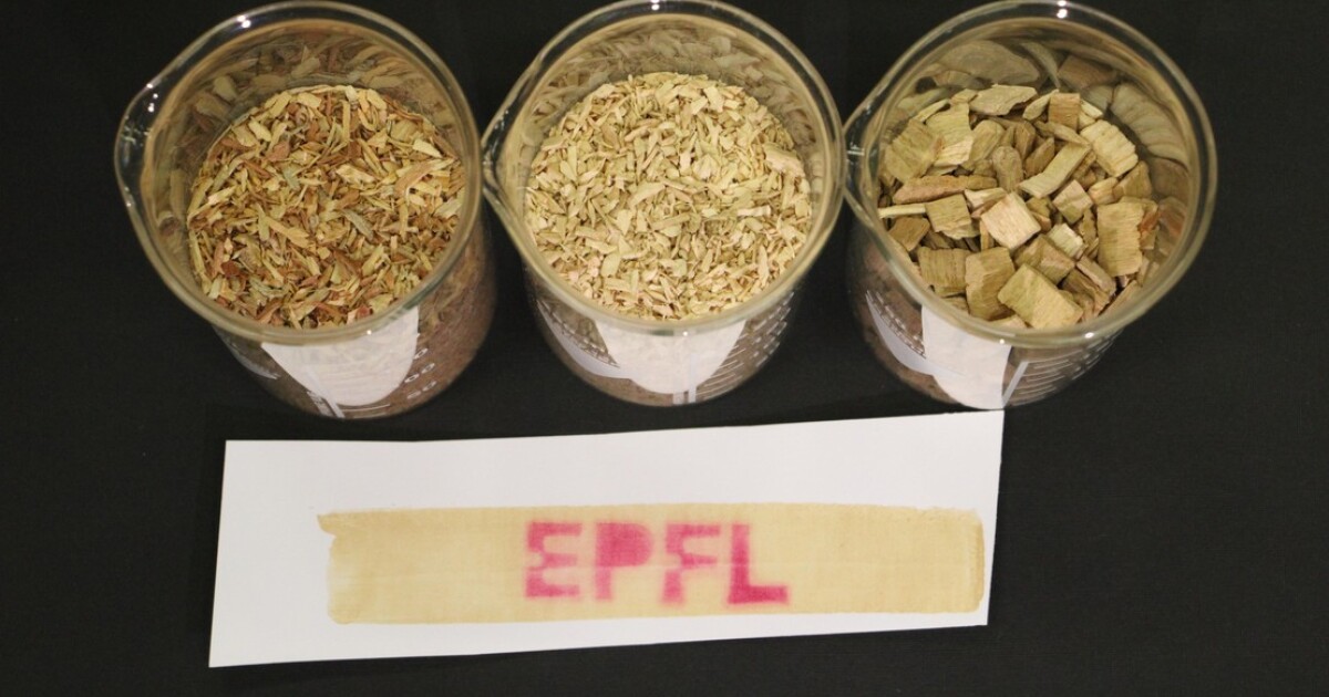 Eco friendly thermal paper made with wood