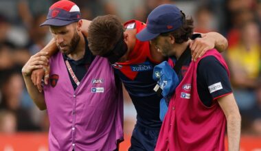 Demon cleared of concussion, sent for scans on knee