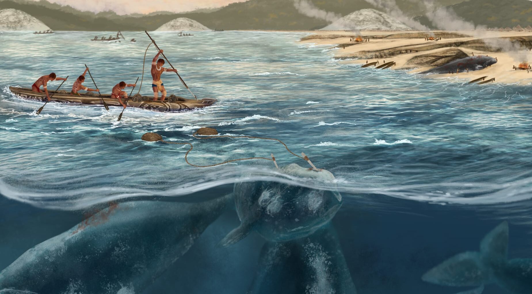 Brighter Side of News