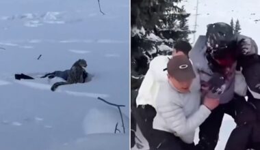 Woman in China mauled by snow leopard after allegedly approaching it for selfie despite warnings