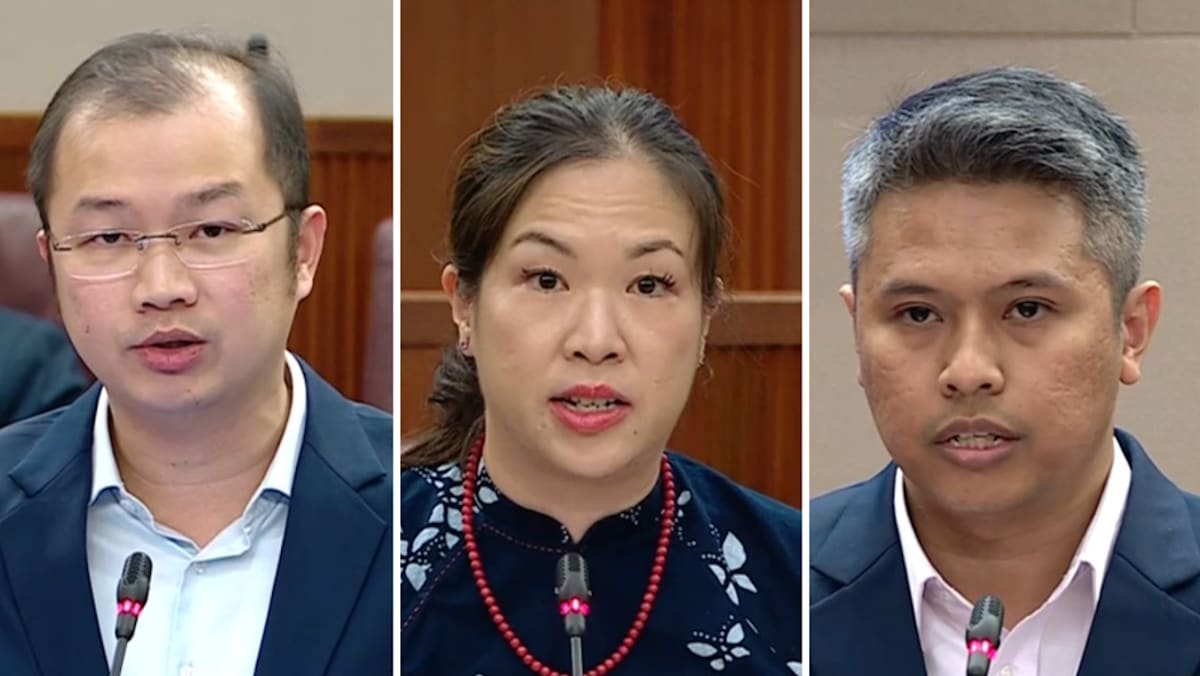 Budget 2026 debate: WP MPs urge more support for families, solutions to raise fertility rate