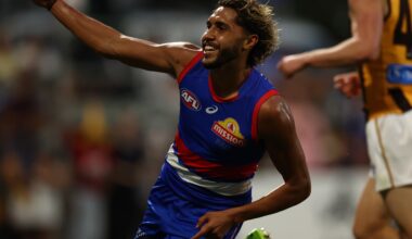 Ruthless Dogs go on the attack to make light work of Hawks