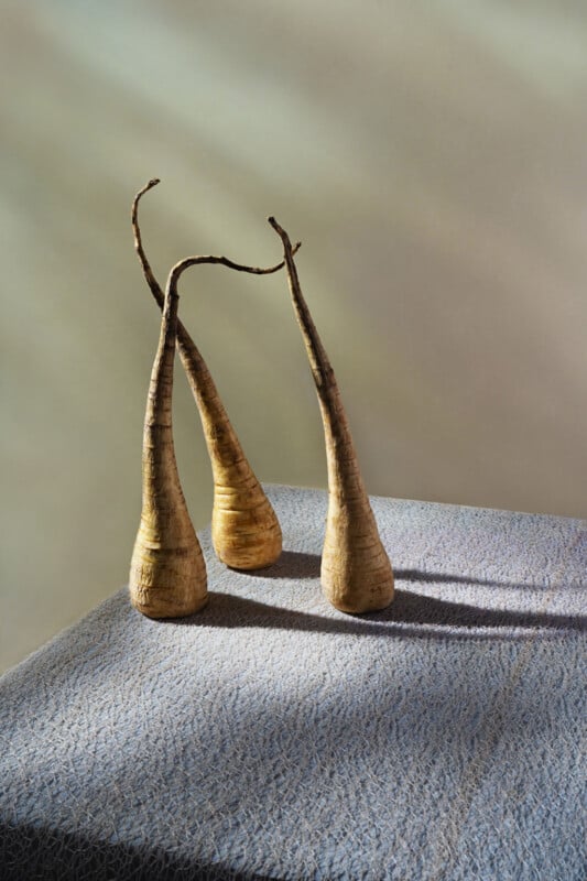 Three parsnips with long, twisted stems stand upright on a textured blue surface, casting soft shadows. The background is softly lit in shades of beige and pale green.