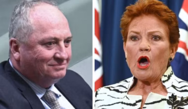 Preference deals will try ‘make sure’ One Nation doesn’t win SA, Farrer: Joyce
