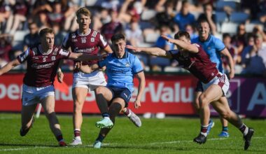 All You Need to Know