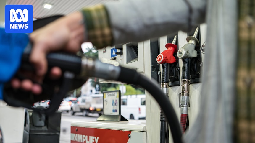 New fuel standards will see higher levels of sulphur in Australia's petrol. What does that mean for your car?