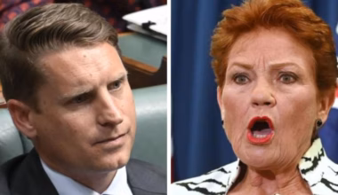 ‘Fix the system’ or watch Pauline Hanson tear it down, Hastie warns
