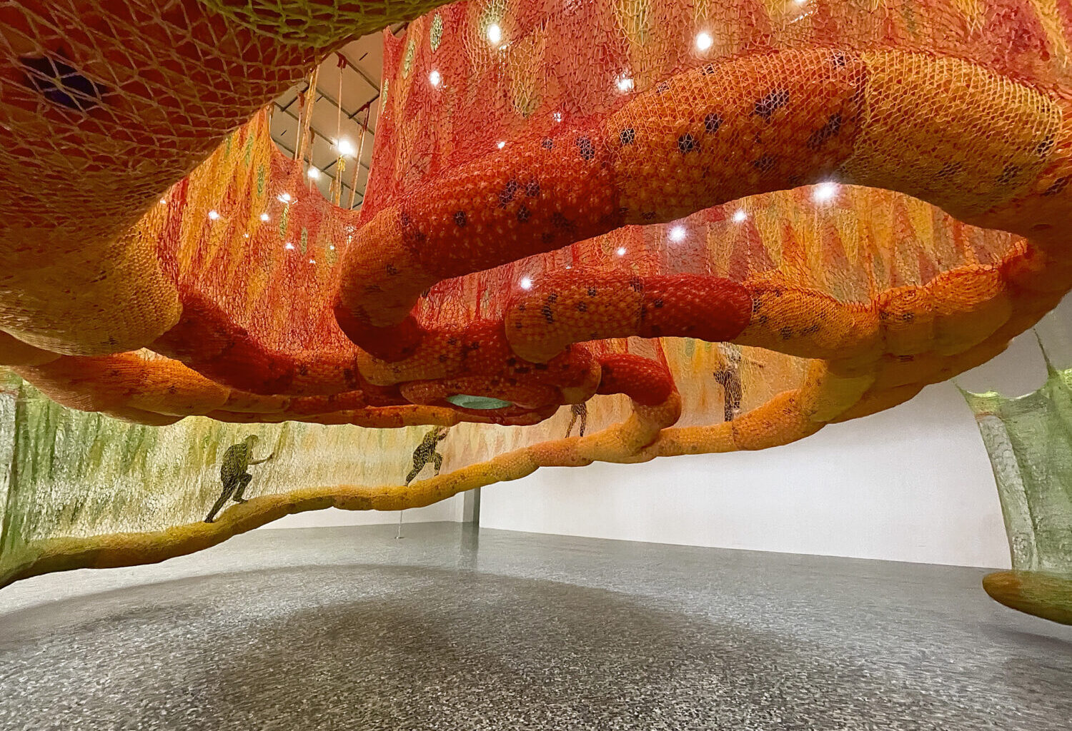 SunForceOceanLife MFAH