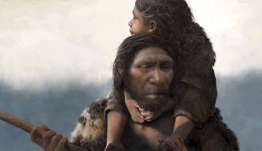 Neanderthals May Have Used the World’s First Antibiotic 50,000 Years Ago