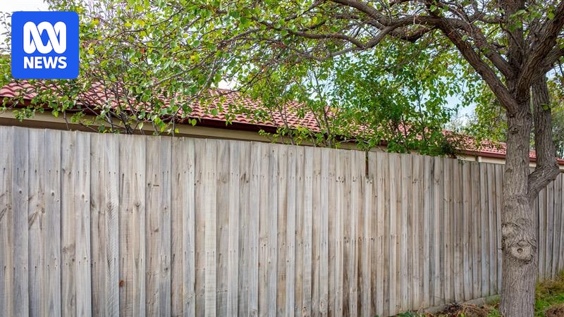 Can you ask a neighbour to remove or trim a large tree for safety or other concerns?
