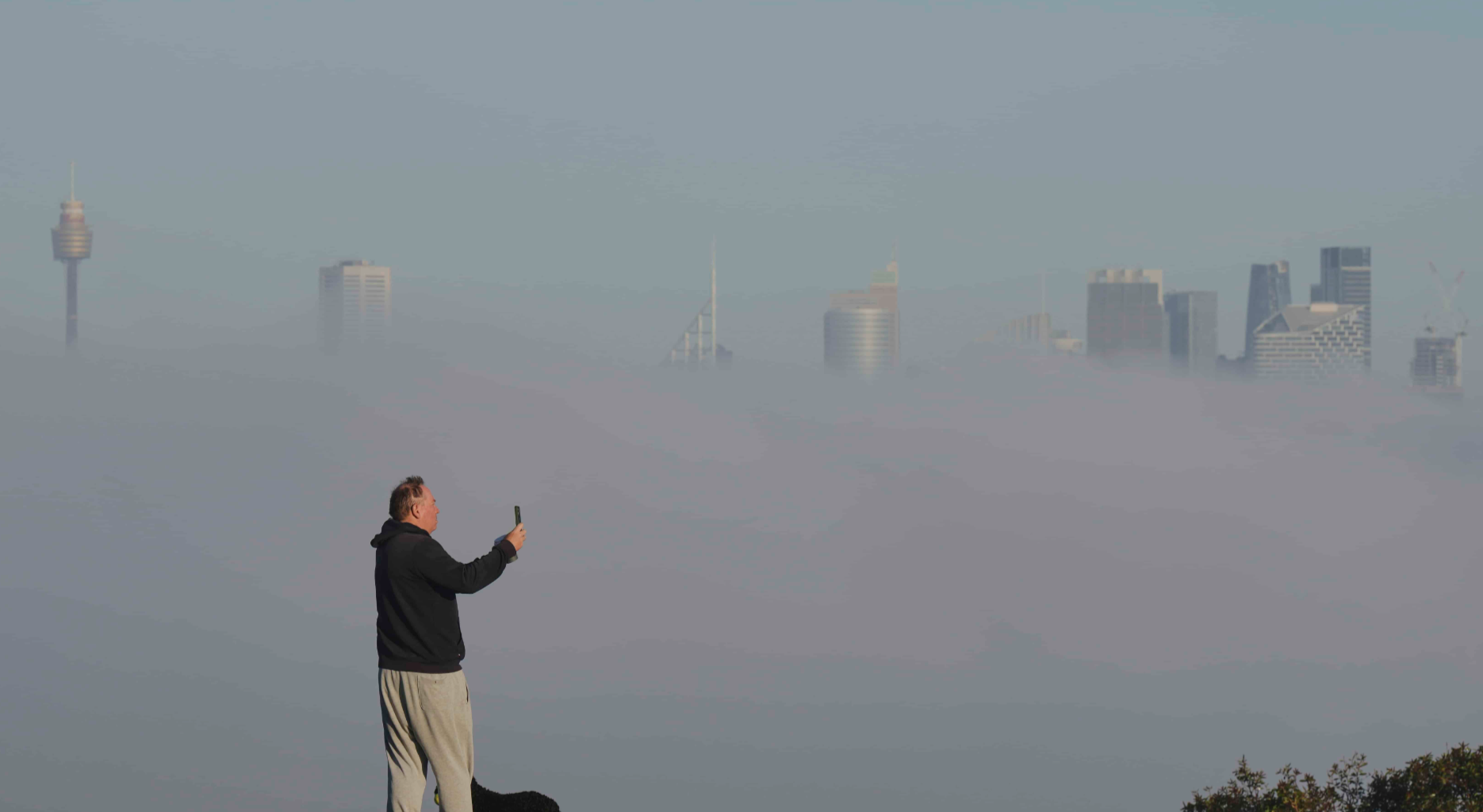 Rising CO2 levels detected in human blood