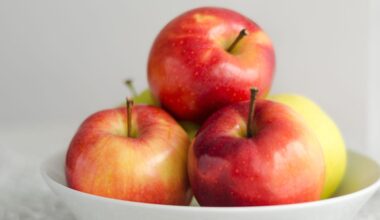 Is Eating An Apple A Day Actually Healthy? A Dietitian Weighs In