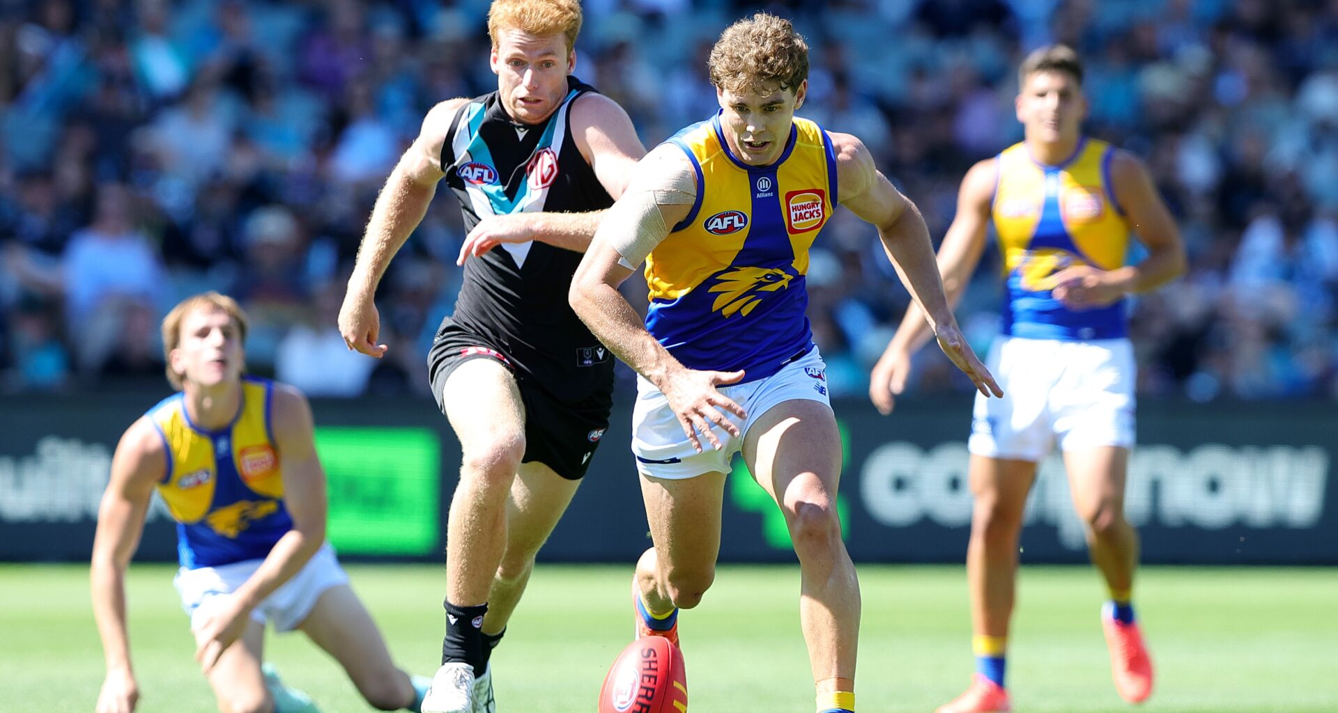 Robertson offered one-match suspension
