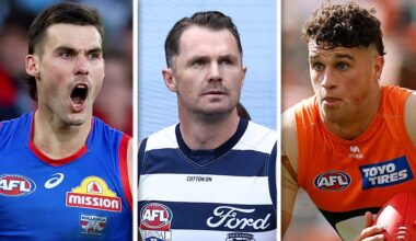 Dogs superstar in, massive Cats blow, gun Giant named