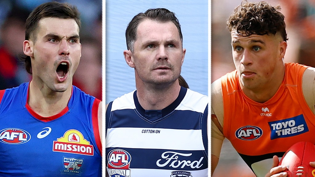 Dogs superstar in, massive Cats blow, gun Giant named