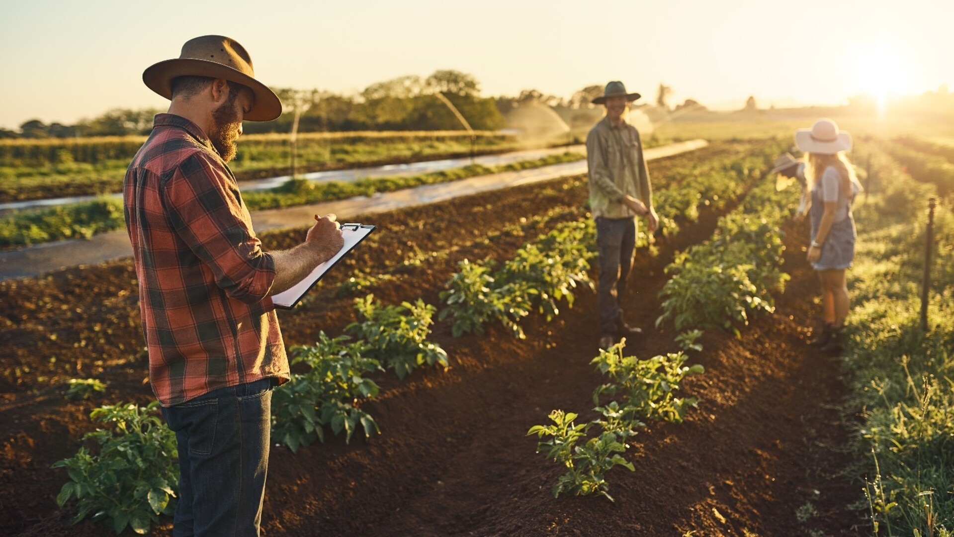 “It will hit food prices”: Fuel hikes send shockwaves from farms to supermarkets