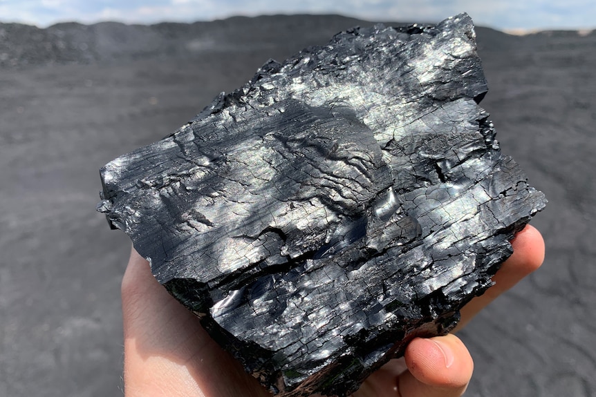 Close-up of a handful of shining, black coal