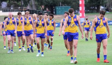 Eagles close pre-season against Peel Thunder