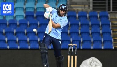 NSW defeat Tasmania by four wickets to win One Day Cup final