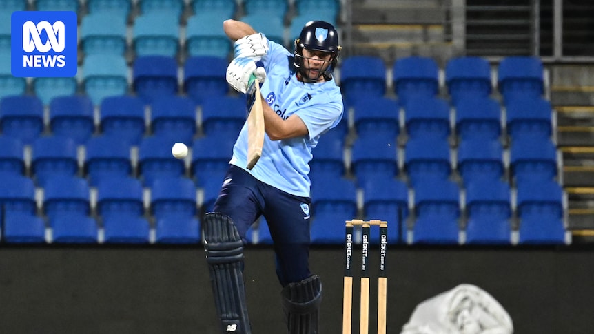 NSW defeat Tasmania by four wickets to win One Day Cup final
