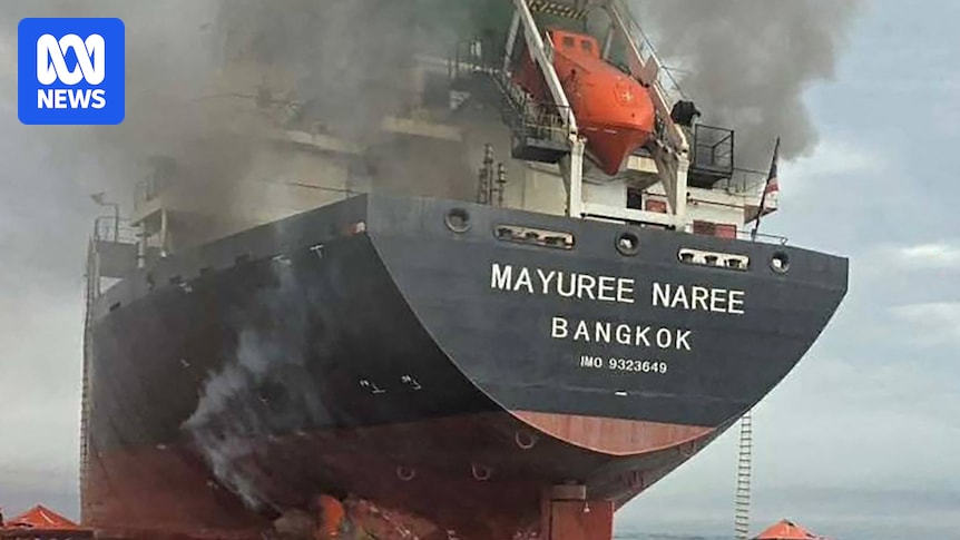 Record 400 million barrels of oil to be released from reserves to stall price hike