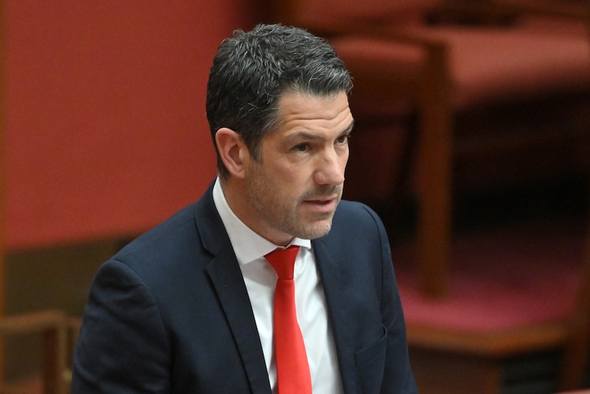 A close up of Alex Antic speaking in the Senate chamber, in a suit with a red tie