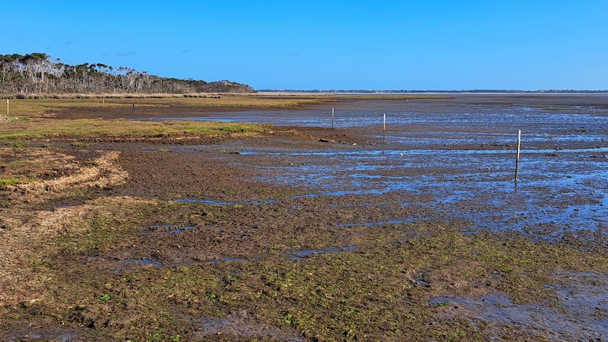 Duck Bay following years of restoration efforts.