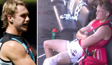 Live AFL 2026, Port Adelaide vs Essendon Bombers Round 2