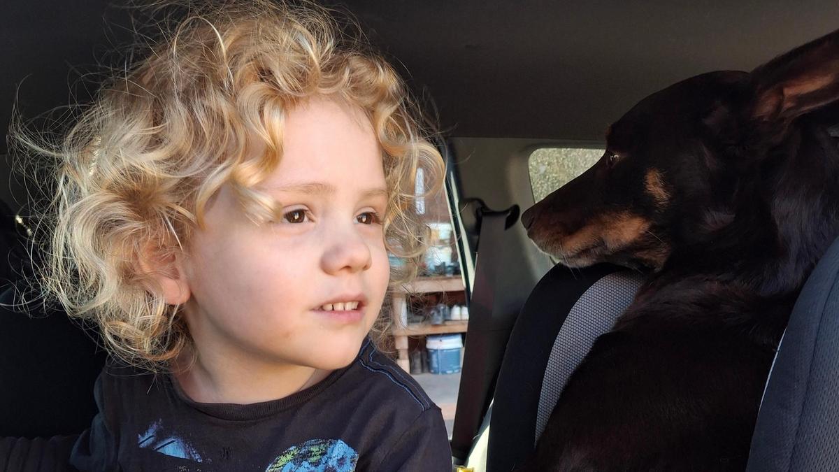 Gus Lamont: Police confirm two members of missing 4yo’s family are not cooperating