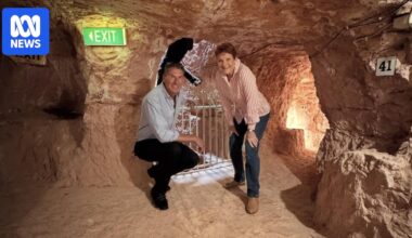 One Nation's Cory Bernardi says he will reimburse Gina Rinehart for SA election private plane flights