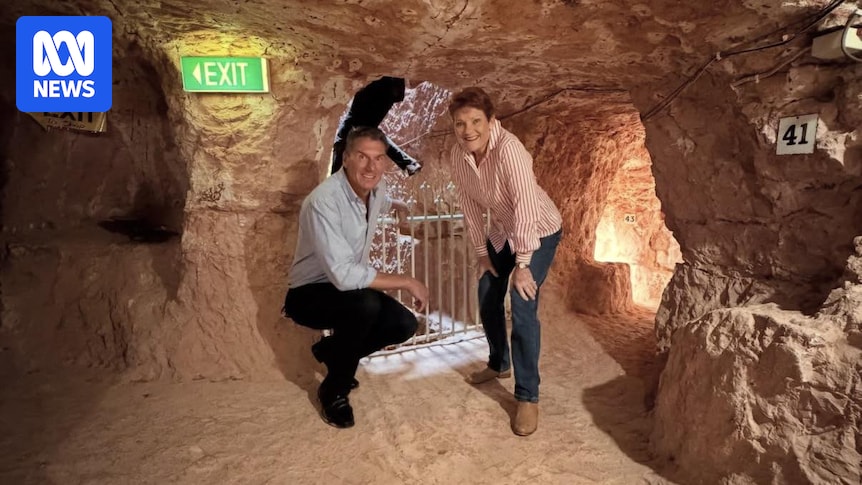 One Nation's Cory Bernardi says he will reimburse Gina Rinehart for SA election private plane flights