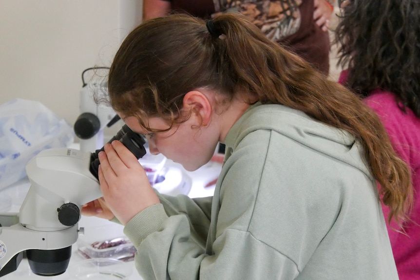 A girl using a microscope. 