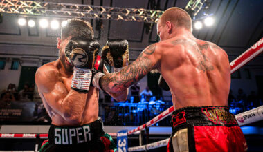 Boxing is like a mating dance between two birds