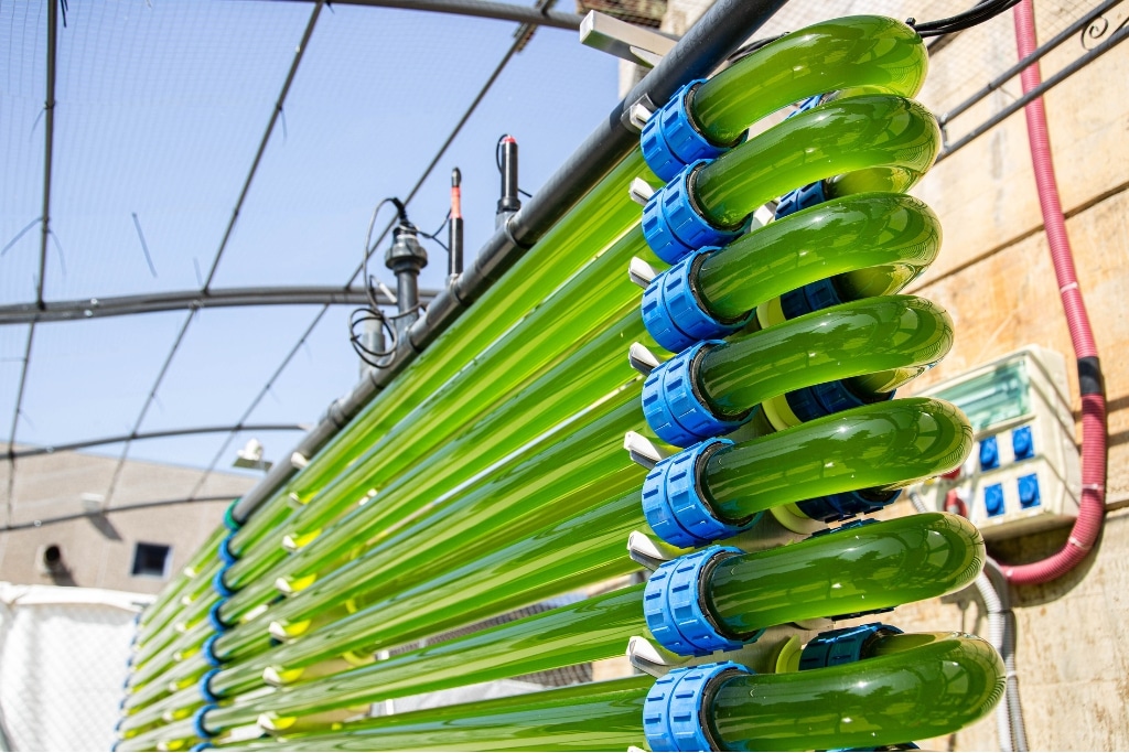 Algae photobioreactor used at the BETA Technological Center in Spain.