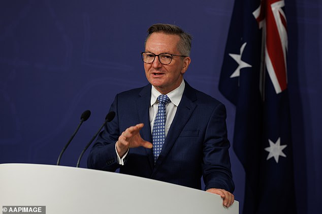 Energy minister Chris Bowen (pictured) said that fuel rationing was not being considered 'at this point'