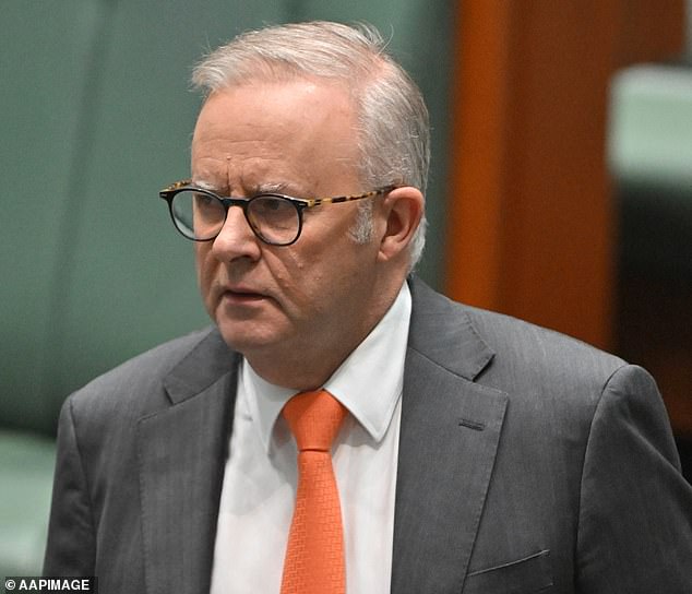 She says Albanese has done nothing to help any Australians