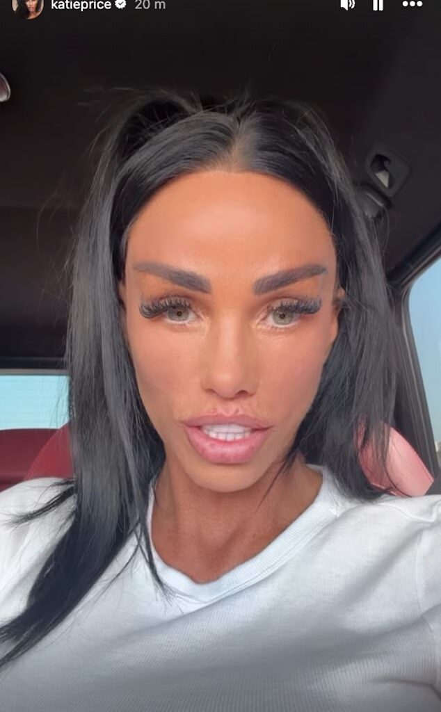 Katie Price has reportedly shut down her travel business venture just two weeks after its launch, following backlash from travel industry executives