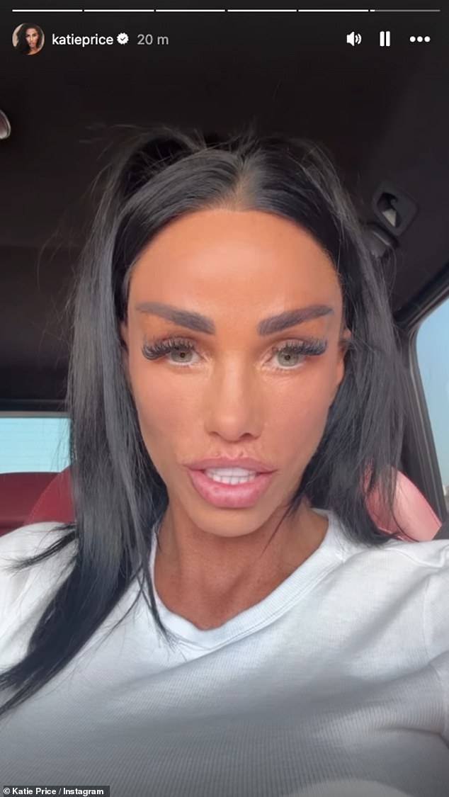 Katie Price has reportedly shut down her travel business venture just two weeks after its launch, following backlash from travel industry executives