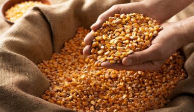 New Proteins Identified as Drivers of Oral Tolerance